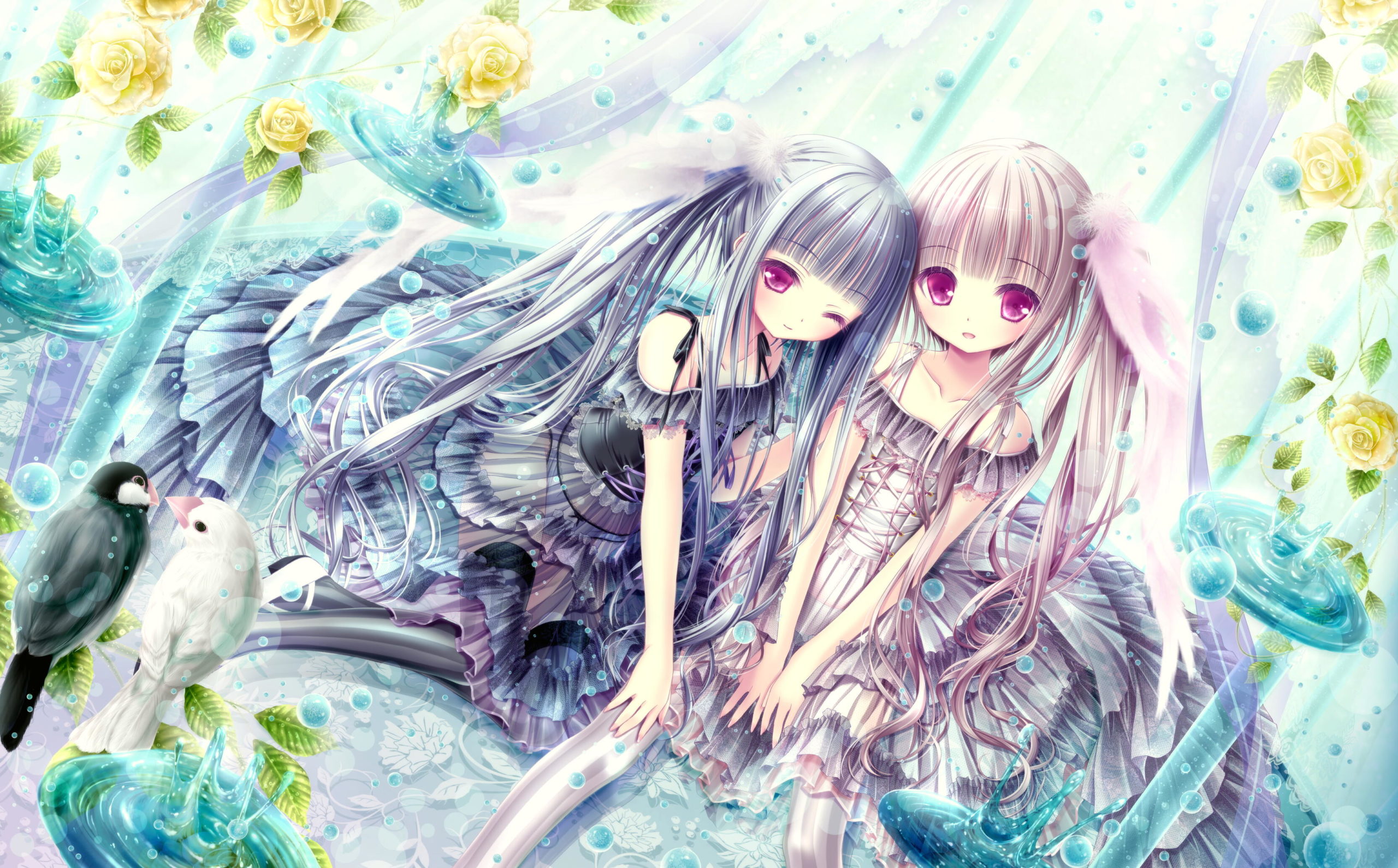 ★てぃんくる先生新作版画　『愛鳥の五季折々』　愛すべき鳥っ娘たち