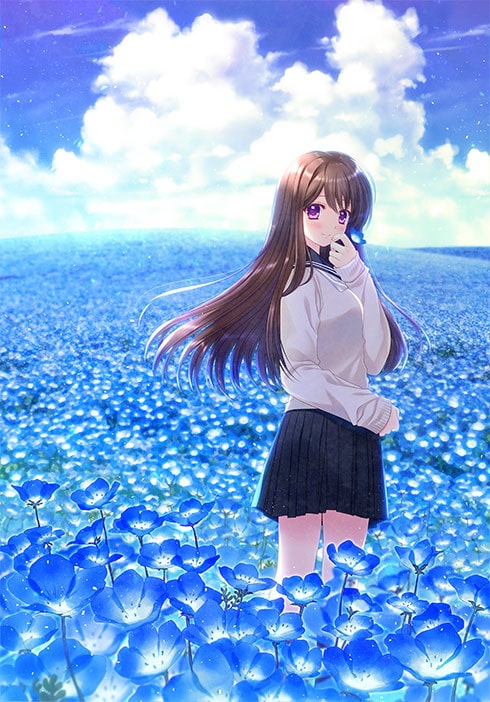 NEMOPHILA