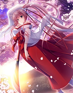 山本和枝