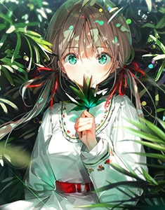 DSマイル