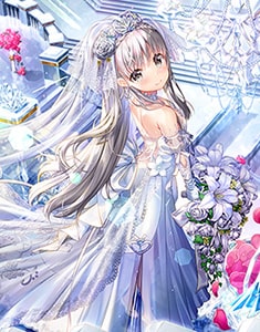 藤真拓哉