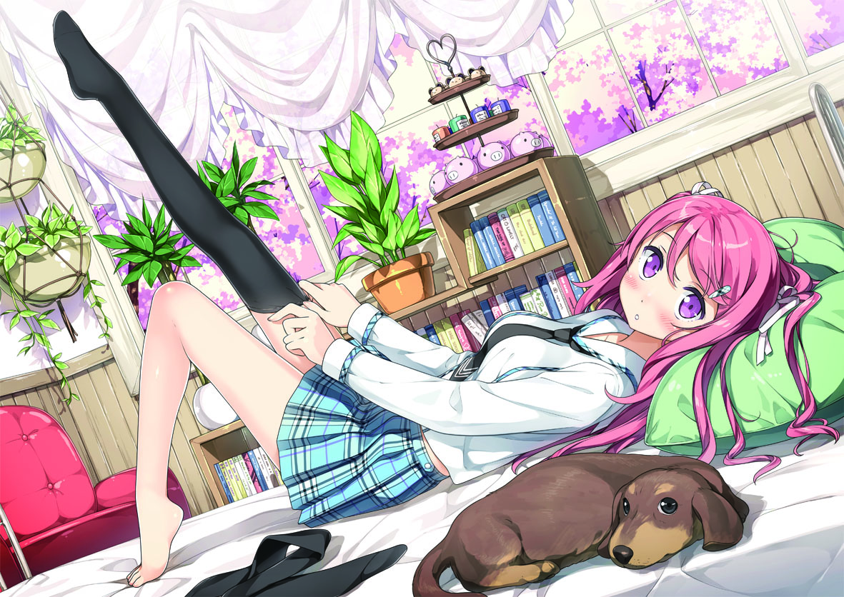 カントク