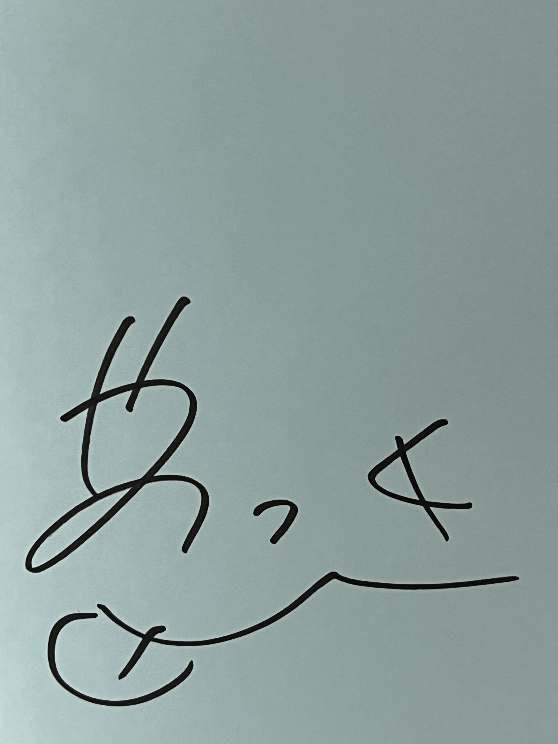 神絵祭【絵師様方の直筆サイン集】 ☆神絵祭☆絵師様方の直筆サイン集METALSTRUCTURE 解体匠機RX-93ν