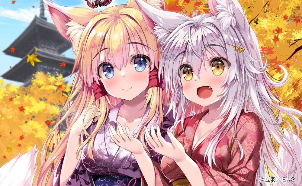 【神絵師インタビュー】立羽先生