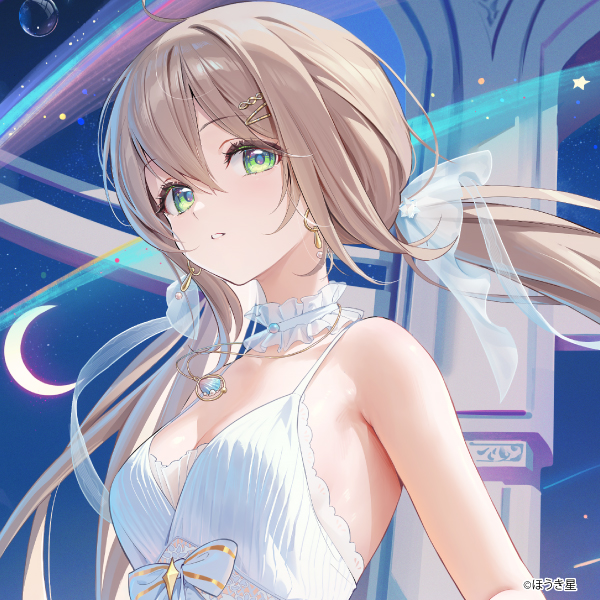 ほうき星